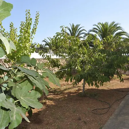 Villa Francisca Sa Caleta