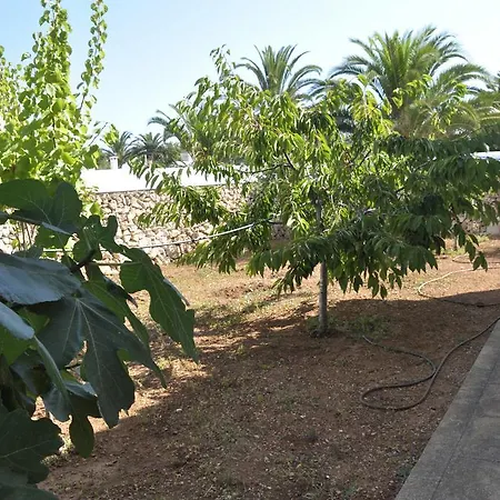 Villa Francisca *